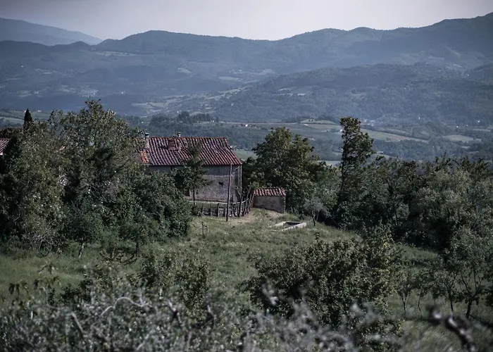 Casa Acone In Mugello - Near Florence - Happy